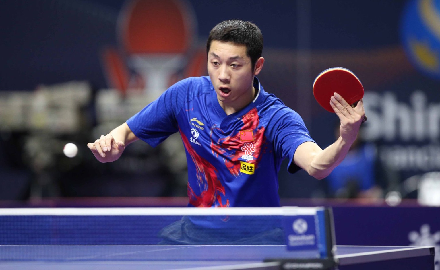 西莫娃与萨 西莫娃与萨